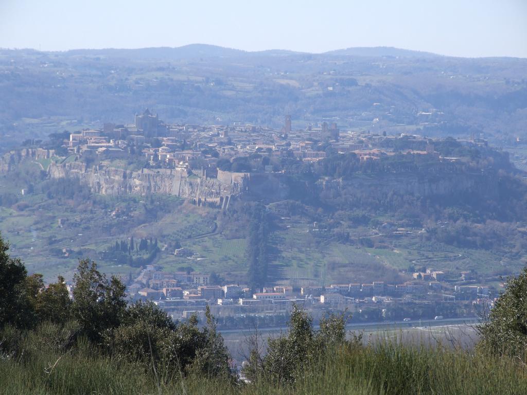Agriturismo Fattoria Poggio Boalaio Orvieto Exterior photo